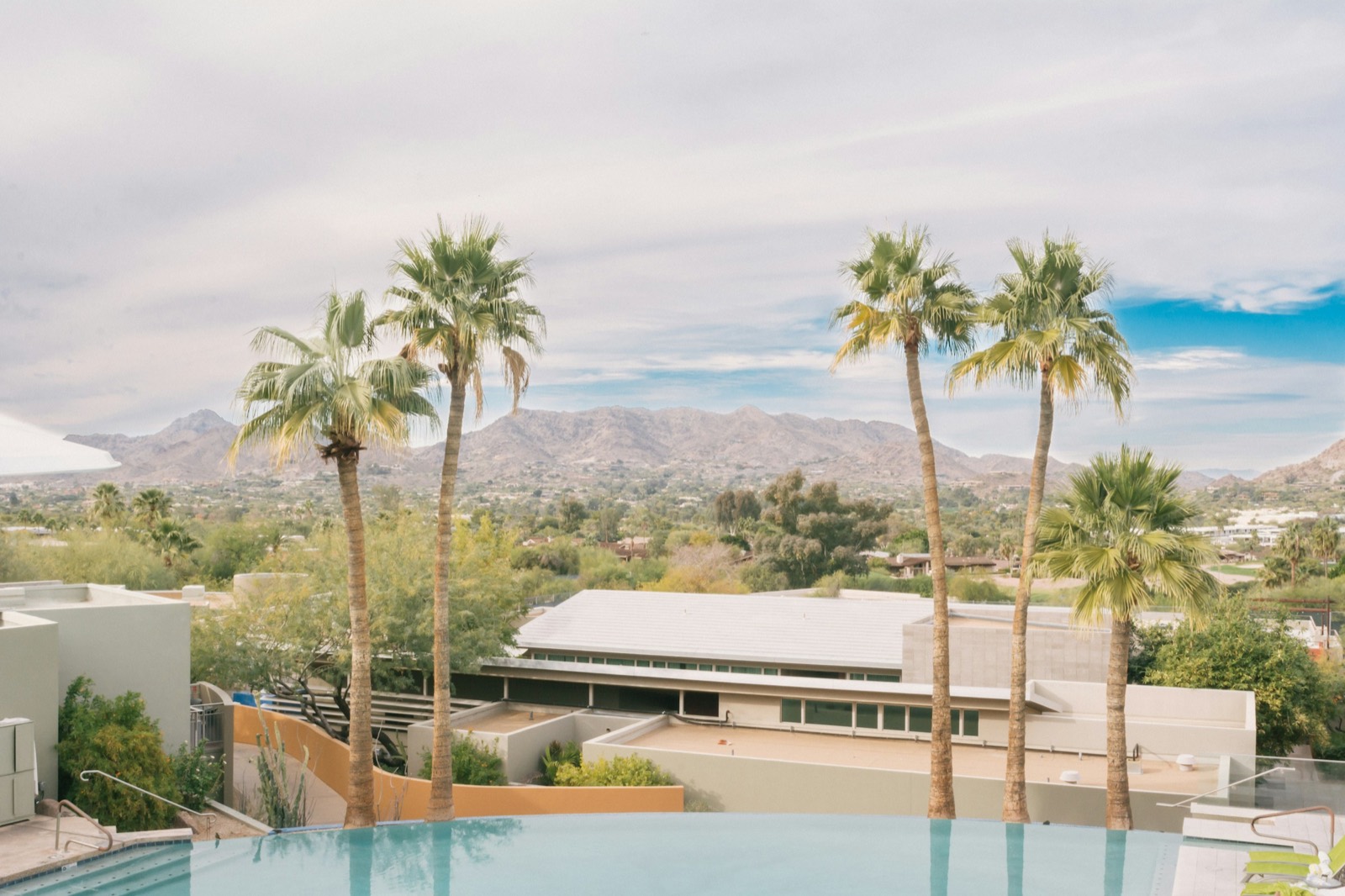 Infinity pool lined with palm trees, with desert mountains in the background